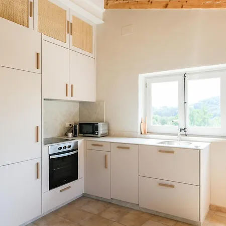 Latic Del Portalet Vistas Al Puente De Apartment Besalu